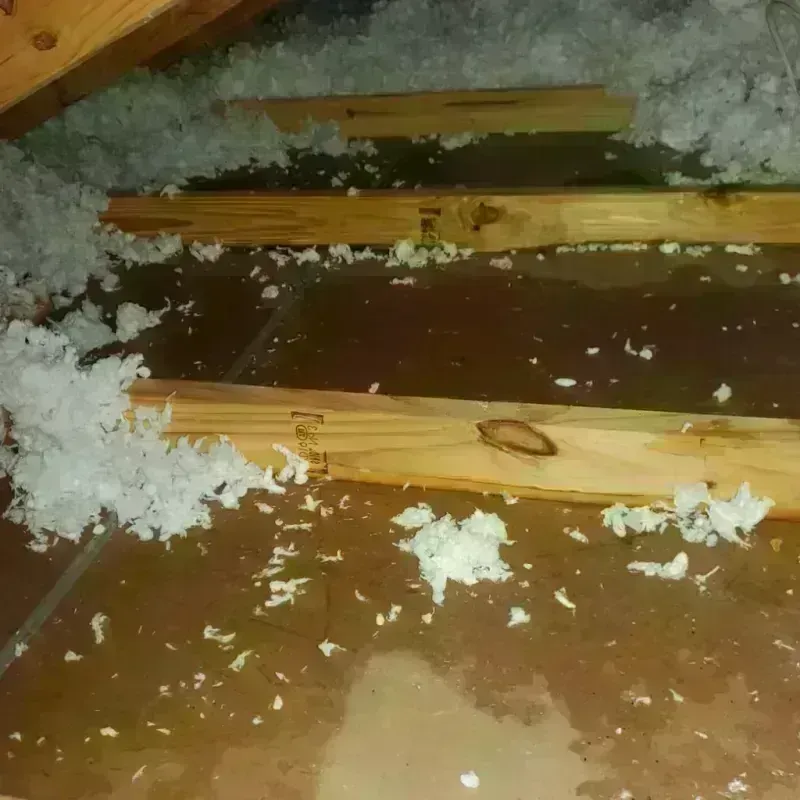 Attic Water Damage in Burke County, NC