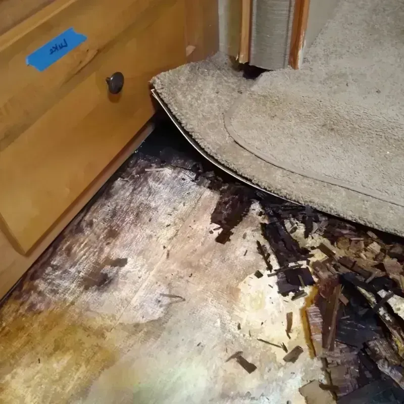 Wood Floor Water Damage in Burke County, NC